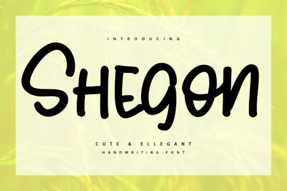 Shegoon: A Bold Display Font That Brings Child-Friendly Branding to Life