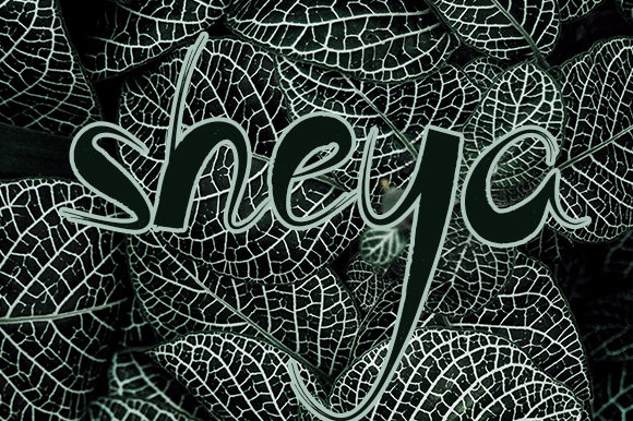 Sheya: The Display Font That Elevates Modern Marketing Design